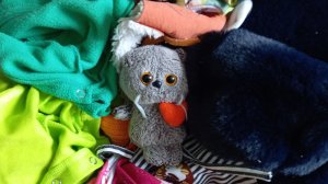 Обзор на одежду моих Басиков #обзор#одежда#Басики