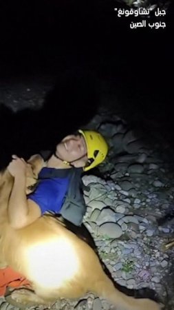 🐶Нечеловеческая благодарность: В Китае собака долго не отпускала своих спасителей