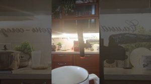 распокивка рамена #рамеспокивка