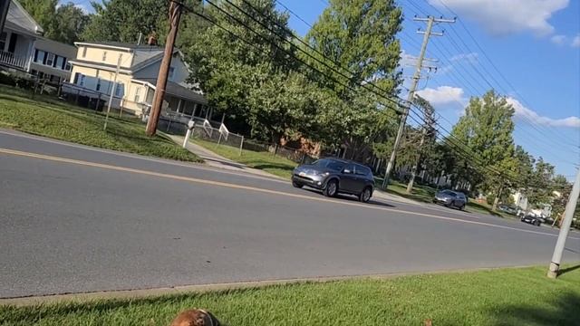 ТАЗИК ДОМА🤣💪//ЗАСТРЯЛИ НА ДОРОГЕ- СПЛЕТНИ ЮТУБ//ХЕЙТ? смотреть онлайн