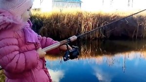 Пятилетний ребёнок даёт мастер клас по ловле щуки и при этом ловит.