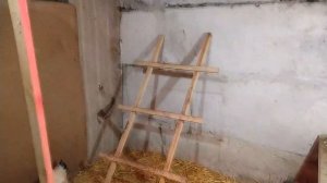 Как я сделал УМНЫЙ курятник своими руками?