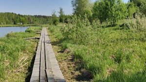 Утренний обзор территории.