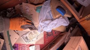 ТУТ БЫЛО БОЛЬШЕ 80 ДОМОВ, но ее покинули. Путешествие в затерянную глубинку России.