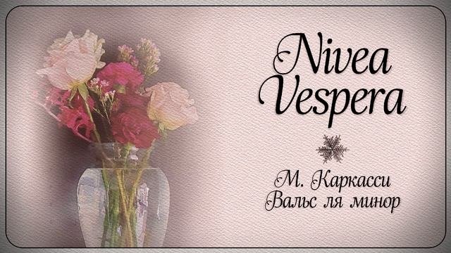 М. Каркасси: Вальс ля минор / M. Carcassi: Waltz In A Minor