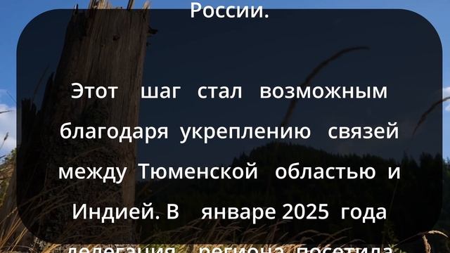 Индийские строители спасают Тюмень от кадрового криз?