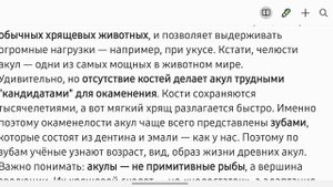 Почему у акул нет костей? Факт за фактом
