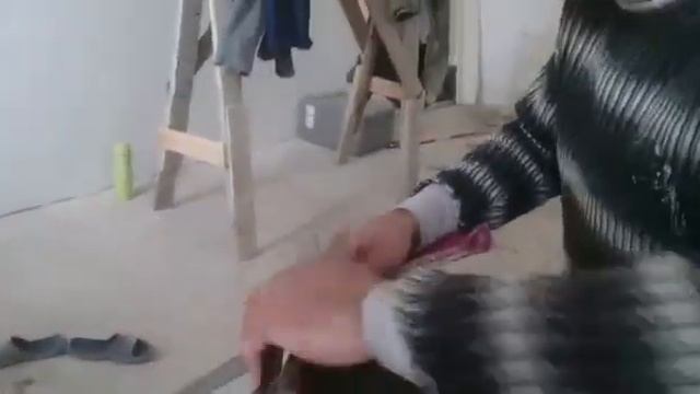 Лучший парикмахер года смотреть онлайн