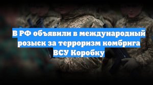 В РФ объявили в международный розыск за терроризм комбрига ВСУ Коробку