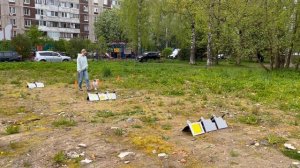 Ро Дебют Елена Галичанина и Йоша Кубок Панды по ралли обидиенс 2025