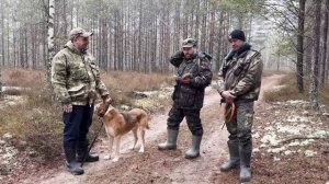 Состязания Русских гончих по зайцу памяти Спогара А.А.