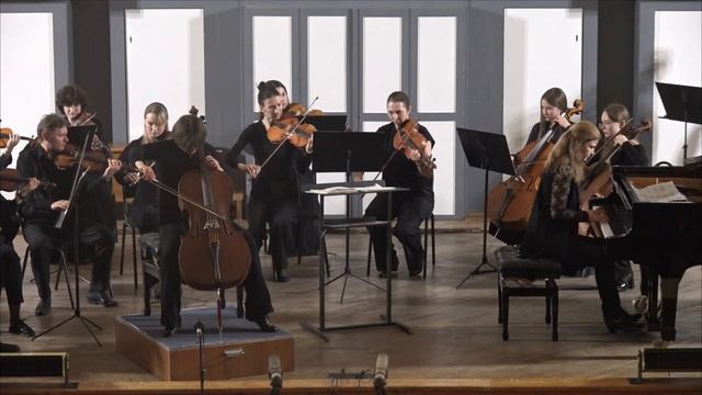 К. Сен-Санс Лебедь А. Грачева, М. Соловова, Поволжский к? смотреть онлайн