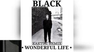 Black - Wonderful Life (KaktuZ RemiX)