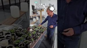 новый институт