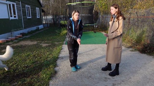 Белая Швейцарская овчарка: семейная собака, все о поро