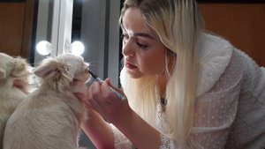 КАК ПОДГОТОВИТЬ СОБАКУ К ВЫСТАВКЕ САМОСТОЯТЕЛЬНО?