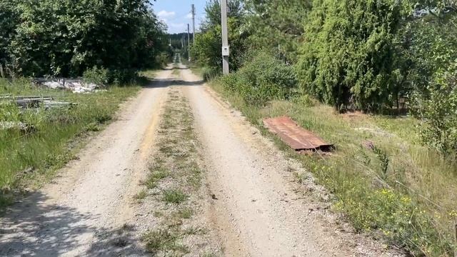 Поездка на природу садовые забавы тарелка клубники ?