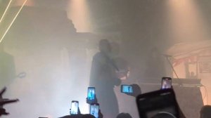 Хаски - сколько стоят деньги? live. 2025