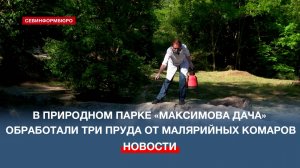 В природном парке «Максимова дача» обработали водоёмы от малярийных комаров
