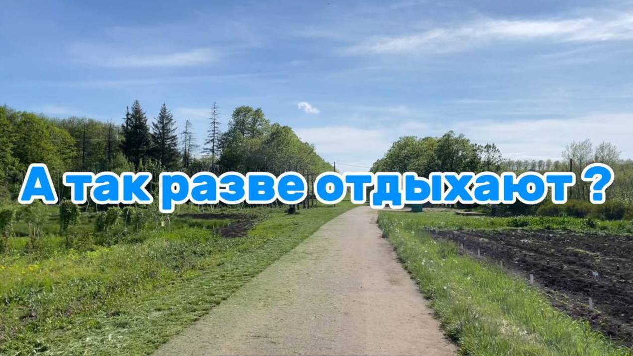 Пикник в мае 🍓