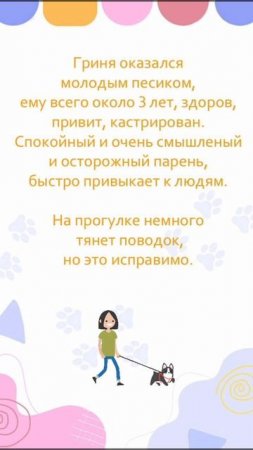 Добрый и очаровательный Гриня ищет дом. ❤ #Москва