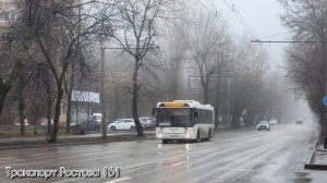 Автобусы Ростова на Дону, январь 2025