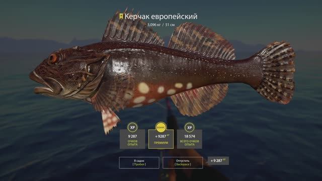 Русская рыбалка 4. Норвежское море. Керчак Трофей смотреть онлайн