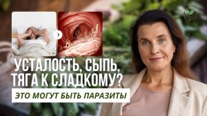Антипаразитарная чистка: как делать правильно и безопасно