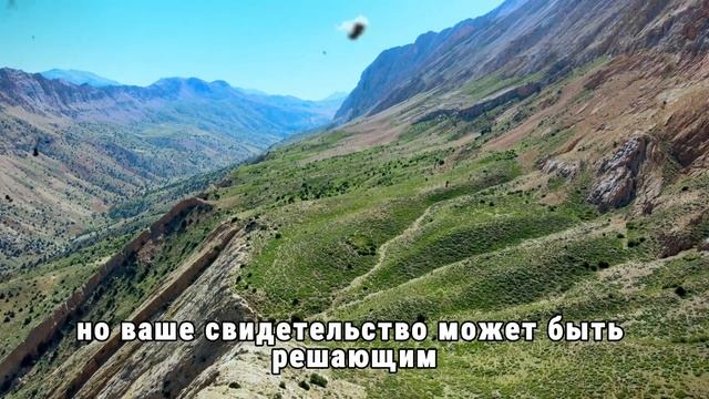 Маленькая ДЕВОЧКА бежит к ВОДИТЕЛЮ автобуса в СЛЕЗАХ,