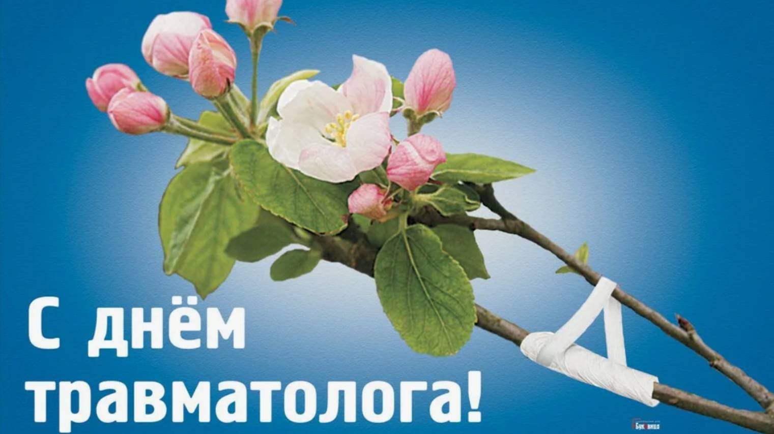 Всемирный день травматолога