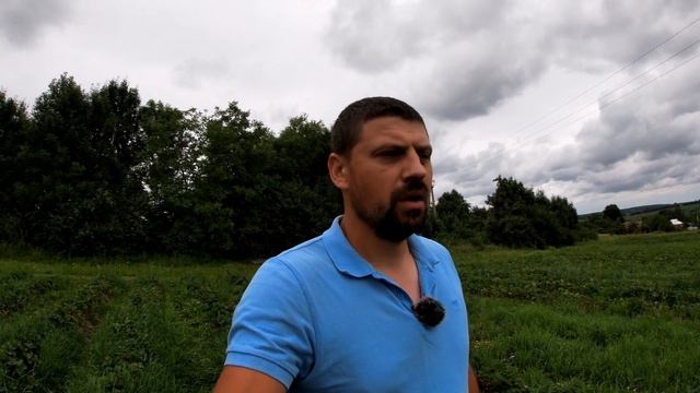 Збір полуниці 2024. Азія, Румба. смотреть онлайн