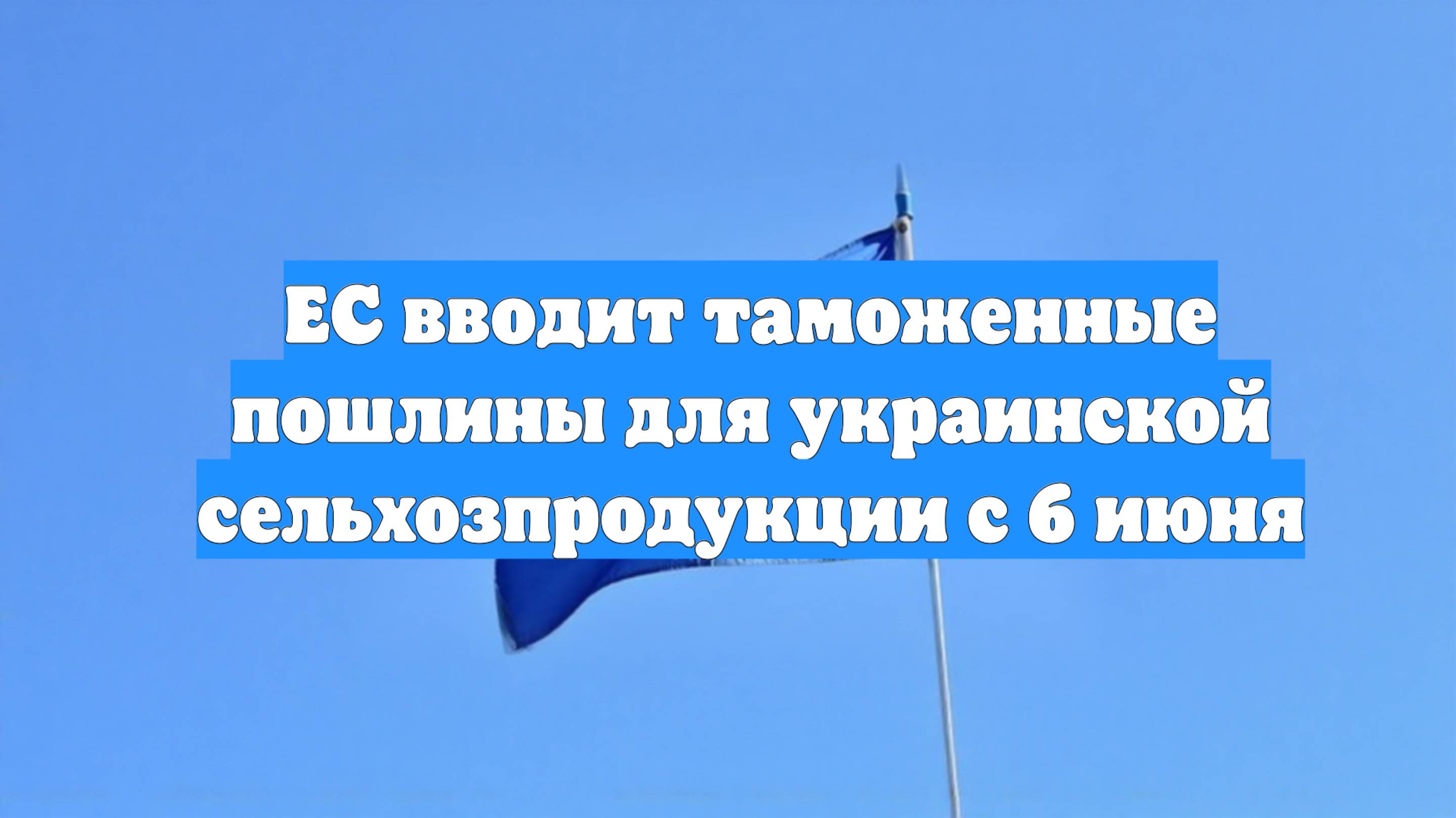 ЕС вводит таможенные пошлины для украинской сельхозпродукции с 6 июня