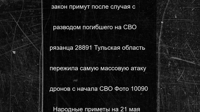 Бурый медвежонок вышел на берег Байкала