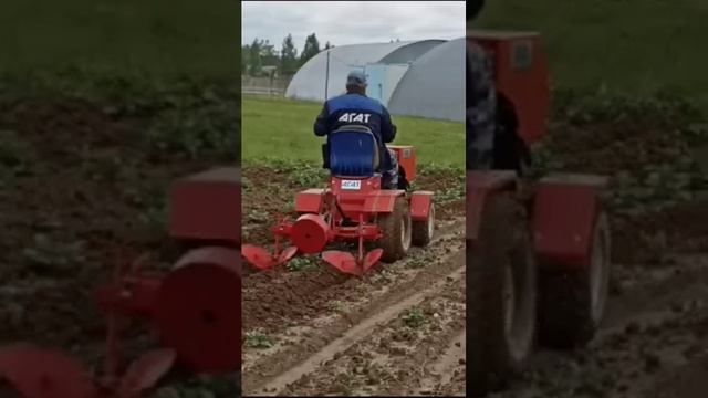 Окучивание картофеля минитрактором "АГАТ" смотреть онлайн