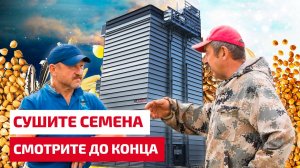 Сушка семян на зерносушилках STRAHL. Рекомендации эксперта.