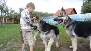 Питомник ВЕО ***Веолар***