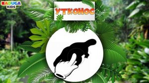 ЖИВОТНЫЕ АВСТРАЛИИ для ДЕТЕЙ! Развивающее видео.