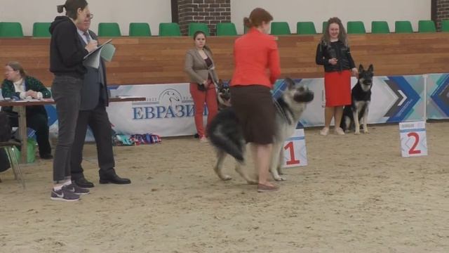 Илья Муромец смотреть онлайн