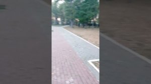 танцы кому заа Саранск. Пролетарский Парк. 20 сентября.