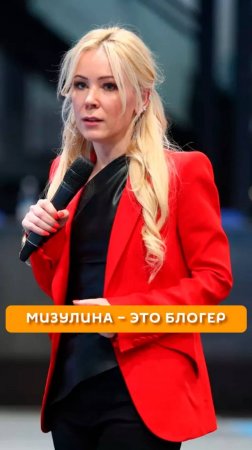 Мизулина – это блогер