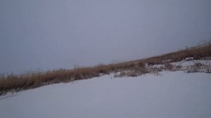 Охота на зайца сезон 2024-2025 №210