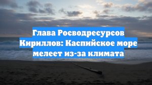 Глава Росводресурсов Кириллов: Каспийское море мелеет из-за климата