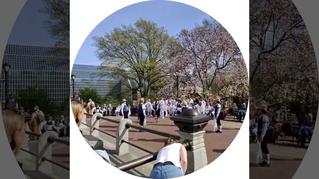 Жизнь в США. В корни обленился. Кружки из Чата в ТГ. смотреть онлайн