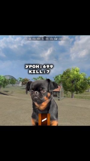 🤣когда твой друг подсосал киллы,тем временем твои тиммейты: 😂👍#freefire #shortsfreefire #фрифаер