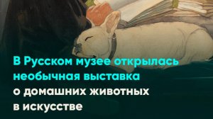 В Русском музее открылась необычная выставка о домашних животных в искусстве