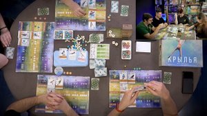 Настольная игра КРЫЛЬЯ (WINGSPAN) 🐣 отзывы об игре, летспл