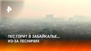 В Забайкалье сгорело 30 тыс. га земли из-за лесничих