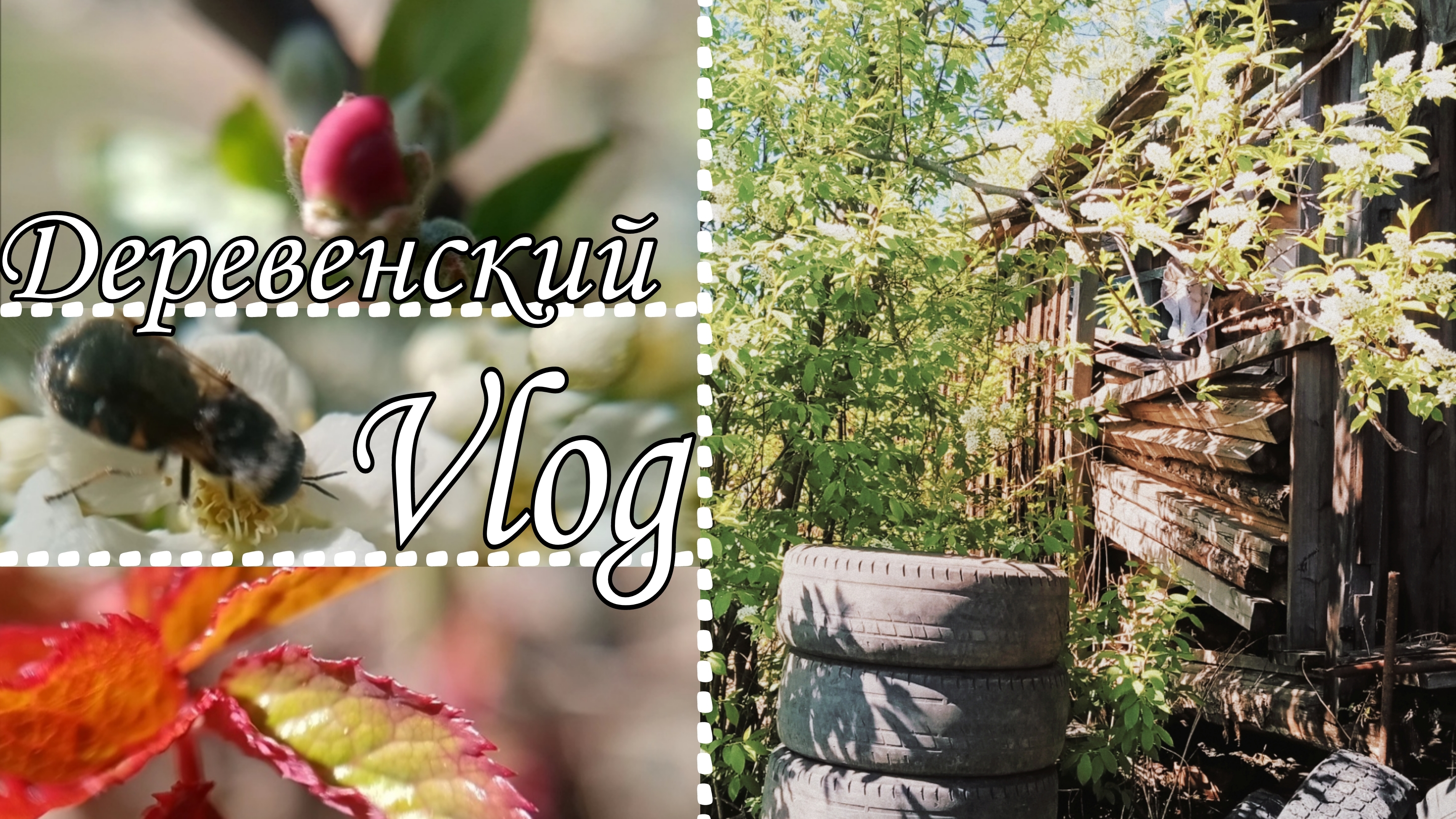 Vlog: Деревенский || Продолжаем готовиться к посадкам смотреть онлайн