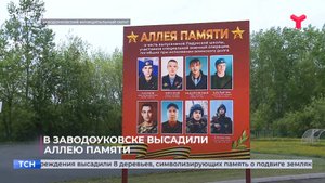 В Заводоуковске высадили аллею памяти