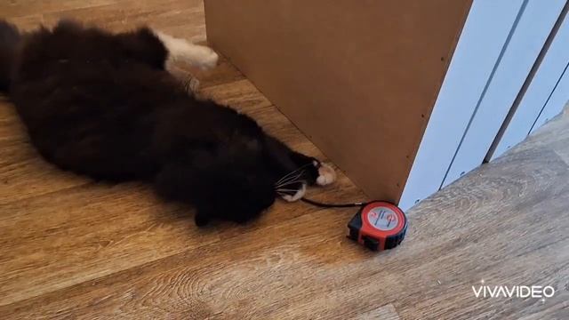 Кто в доме хозяин?